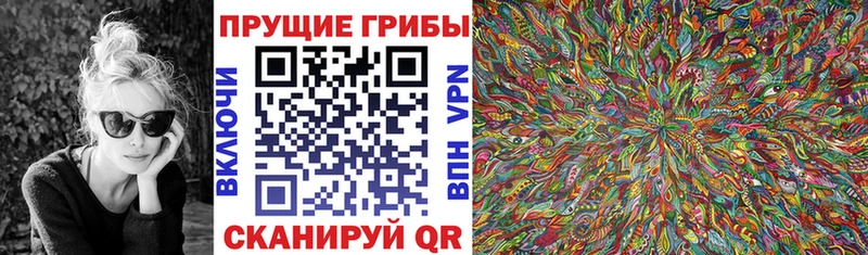Псилоцибиновые грибы GOLDEN TEACHER Кувшиново
